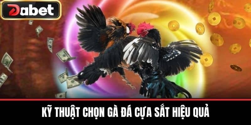 Kỹ Thuật Chọn Gà Đá Cựa Sắt Hiệu Quả